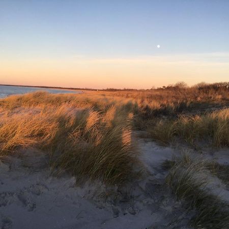 Fewo Sonnenblume Achtern Diek Zingst Eksteriør bilde