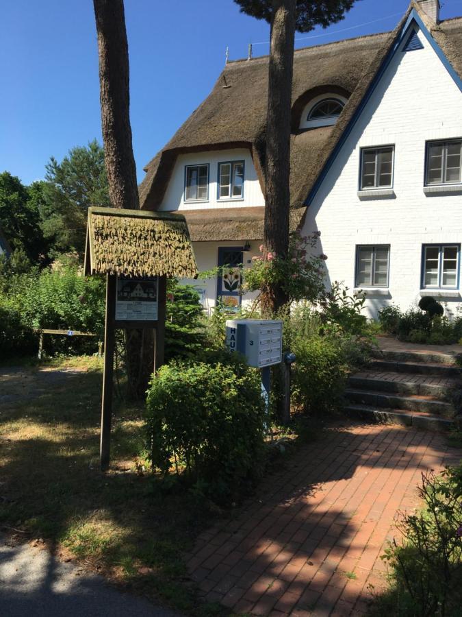 Fewo Sonnenblume Achtern Diek Zingst Eksteriør bilde