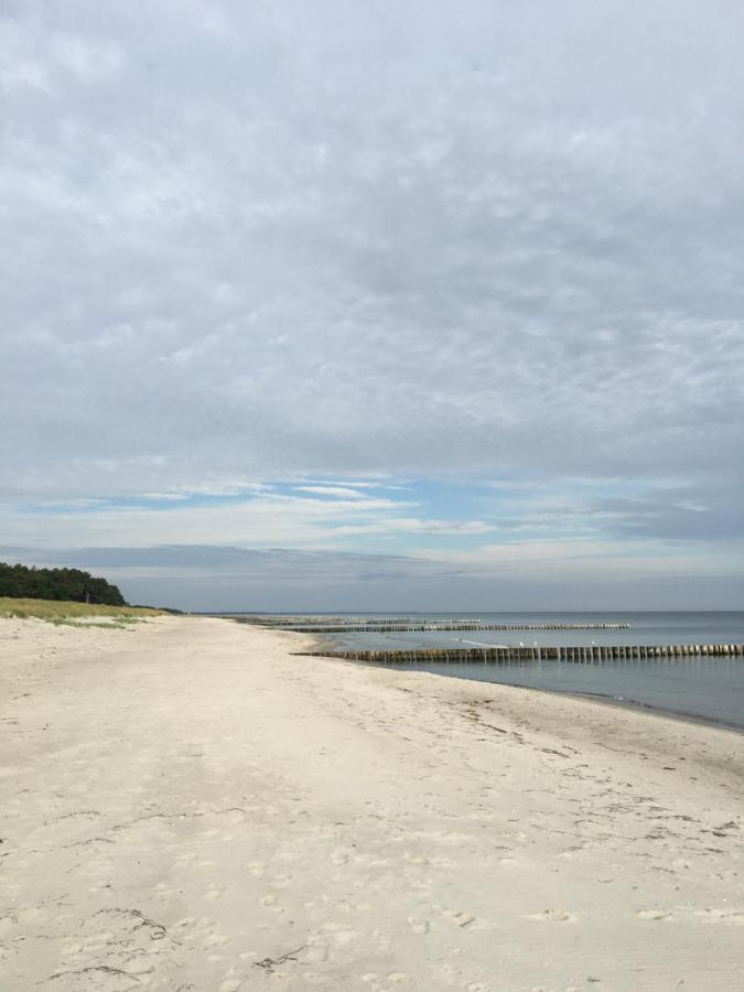 Fewo Sonnenblume Achtern Diek Zingst Eksteriør bilde