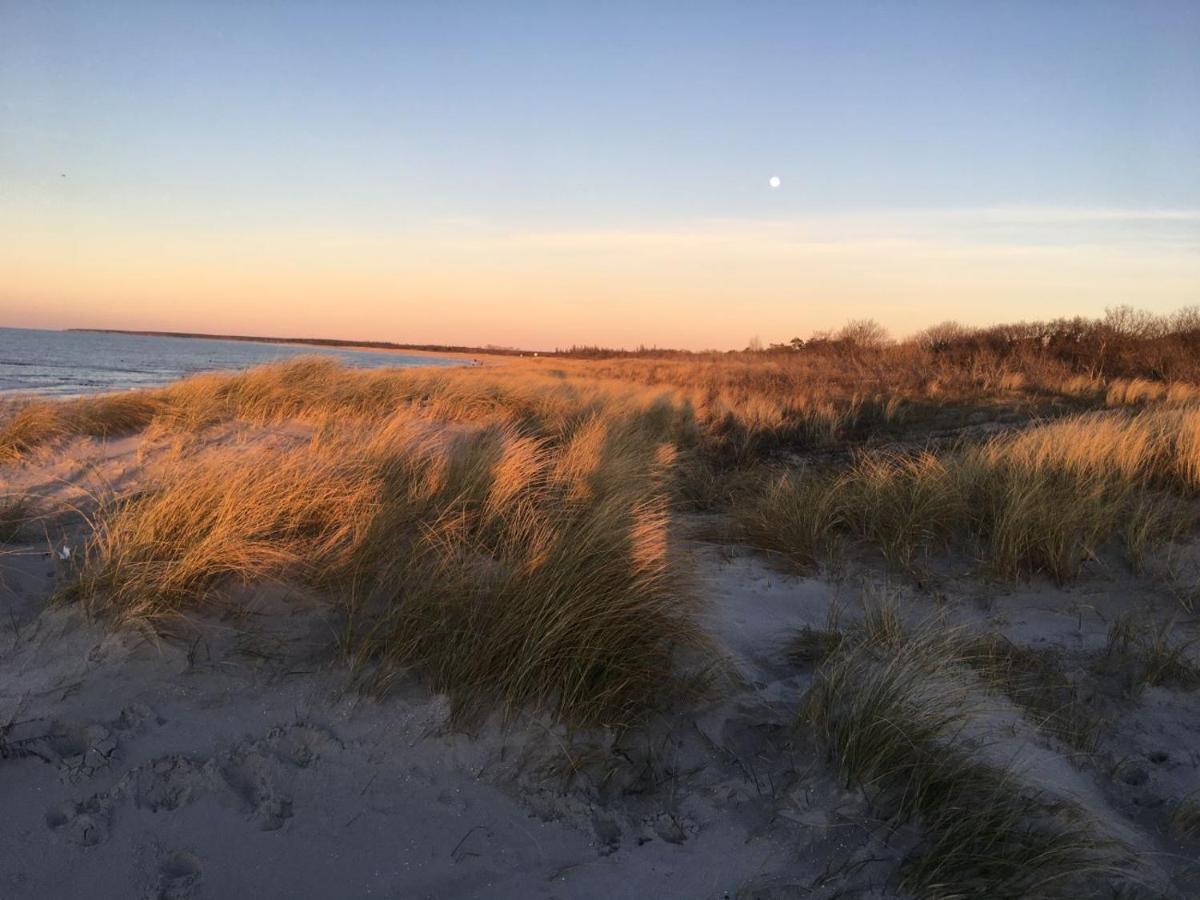Fewo Sonnenblume Achtern Diek Zingst Eksteriør bilde
